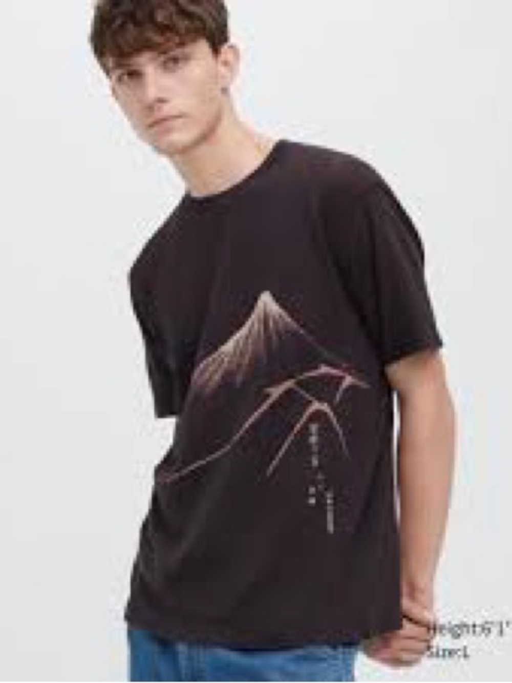 Uniqlo Black Short Sleeve Tee with Beige Mountain Graphic